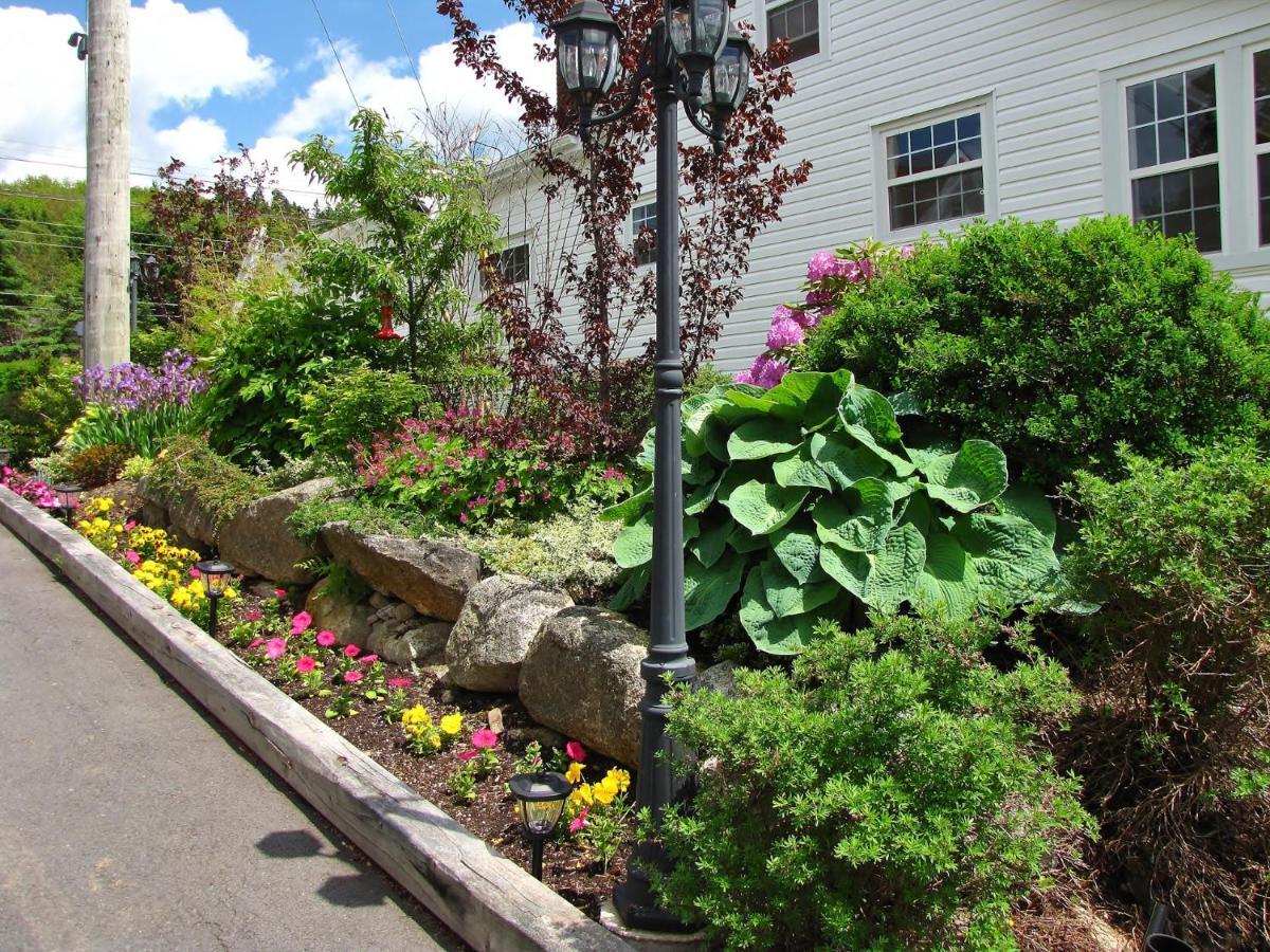Larinda'S Landing Oceanfront Cottages Halifax Kültér fotó